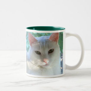 2 Couleurs Tasse blanche de chat de cheveux courts avec le