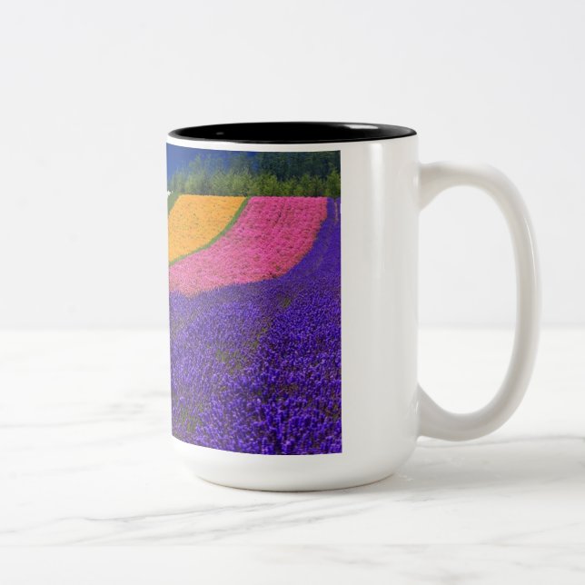 2 Couleurs tasse couleur (Droit)