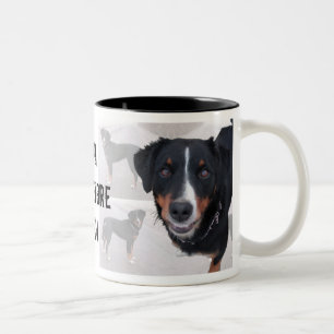 2 Couleurs Tasse « d'Appenzellois Senne-chien "