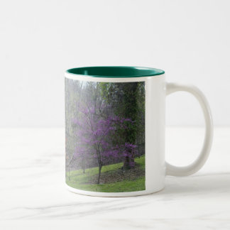 2 Couleurs Tasse d'arbres de C.C