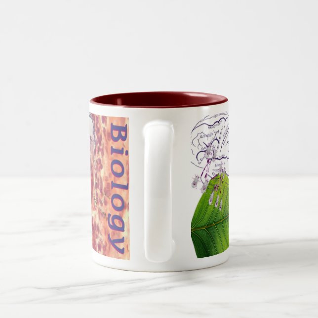 2 Couleurs Tasse de biologie (Poignée)