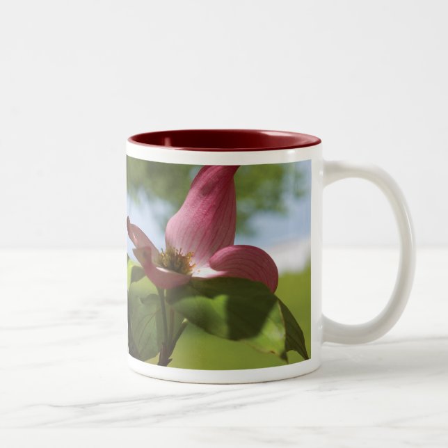 2 Couleurs tasse de bois de chien (Droit)