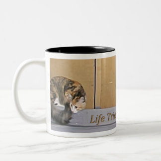2 Couleurs Tasse de café