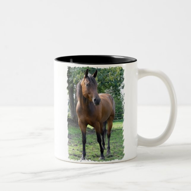 2 Couleurs Tasse de café de cheval de pur sang de baie (Droit)