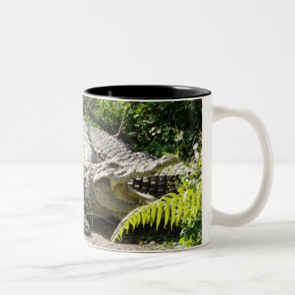 2 Couleurs Tasse de café de crocodile