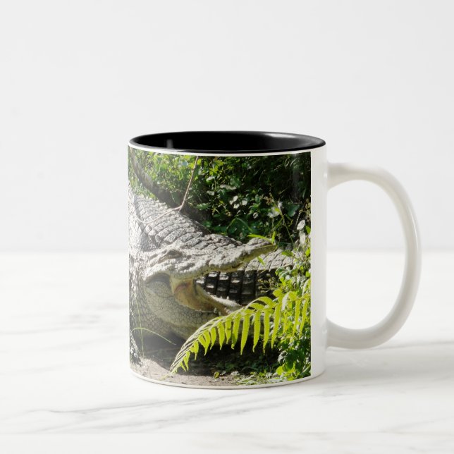 2 Couleurs Tasse de café de crocodile (Droit)