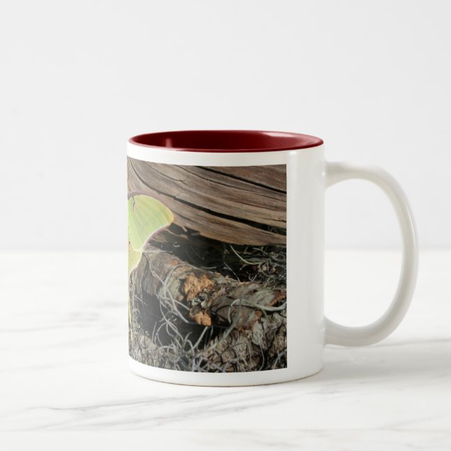 2 Couleurs Tasse de café de mite de Luna (Droit)