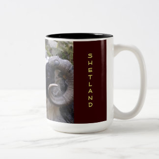 2 COULEURS TASSE DE CAFÉ DE SHETLAND RAM - TISSERAND RÊVEUR