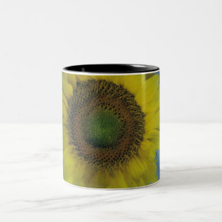 2 Couleurs tasse de café de tournesol
