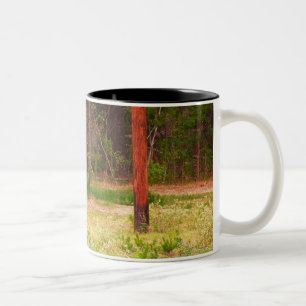 2 Couleurs Tasse de cerfs communs d'axe