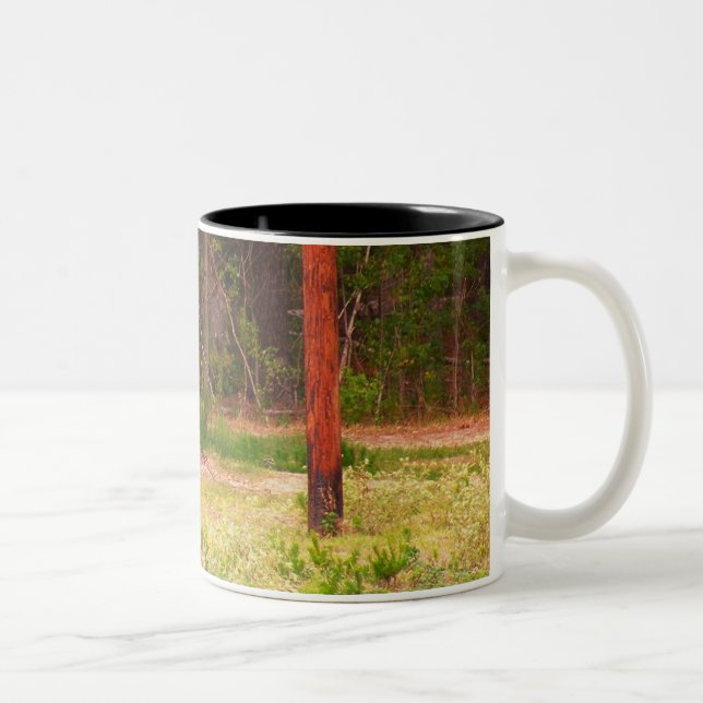 2 Couleurs Tasse de cerfs communs d'axe (Droit)