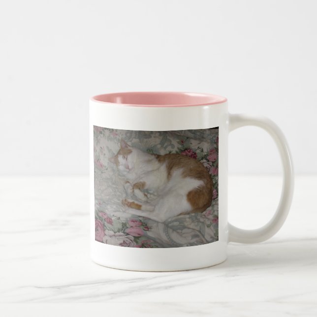 2 Couleurs tasse de chat (Droit)