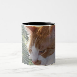2 Couleurs Tasse de chat