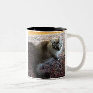2 Couleurs Tasse de chat avec le vers… dans l'oeil affectueux