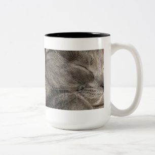 2 Couleurs Tasse de chat gris dormant