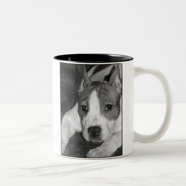 2 Couleurs Tasse de chiot de Pitbull (Droit)