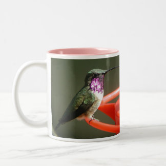 2 Couleurs Tasse de colibri de Lucifer, gauche-manipulée