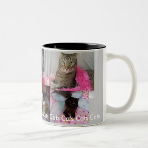 2 Couleurs Tasse de collage de chat
