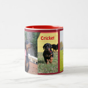 2 Couleurs Tasse de cricket