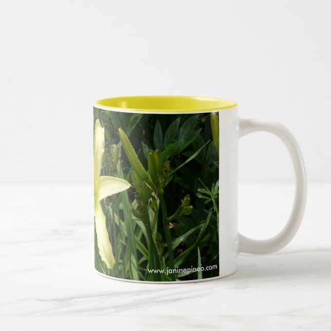 2 Couleurs Tasse de Daylily (Droit)