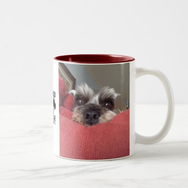 2 Couleurs Tasse de délivrance de Schnauzer de Clarabelle (Droit)