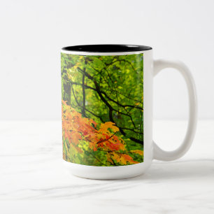 2 Couleurs Tasse de feuille d'automne