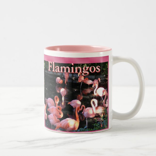 2 Couleurs Tasse de Flamant rose (Droit)
