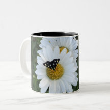 Tasse de fleur de marguerite