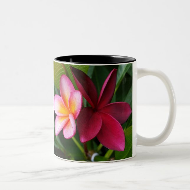 2 Couleurs Tasse de Frangipani : Coucher du soleil de Darwin (Droit)