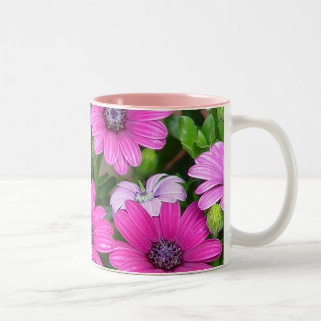 2 Couleurs Tasse de géranium de Cranesbill (fleurs roses) (Droit)