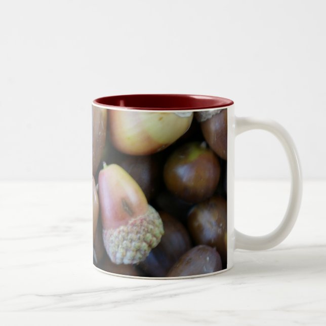 2 Couleurs Tasse de gland (Droit)