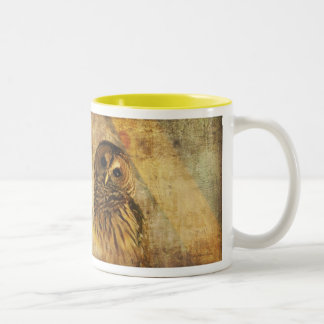 2 Couleurs Tasse de hibou - la maman la plus sage du monde