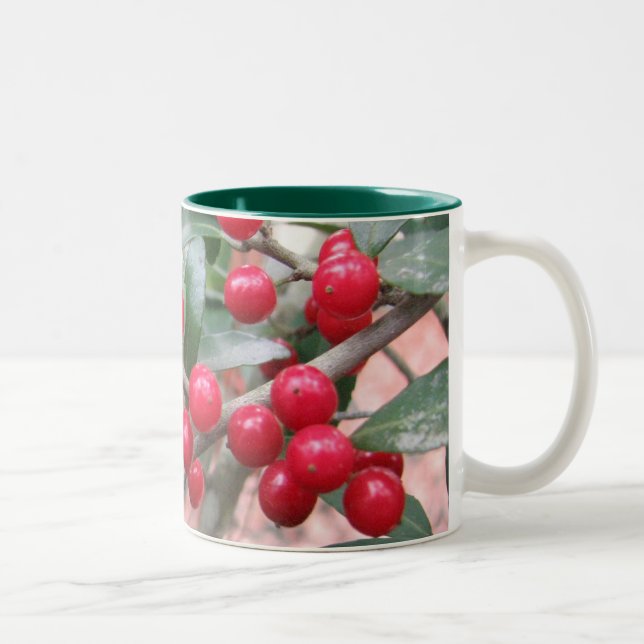 2 Couleurs Tasse de houx de Yaupon (Droit)