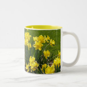 2 Couleurs Tasse de jonquilles de ressort