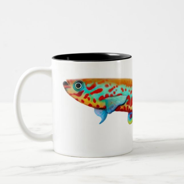 2 Couleurs Tasse de Killifish de Fundulopanchax Gardneri (Gauche)