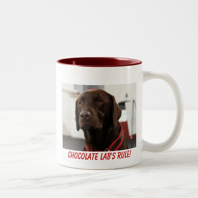 2 Couleurs Tasse de laboratoire de chocolat (Droit)