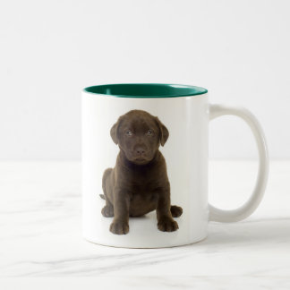 2 Couleurs Tasse de Labrador de chocolat