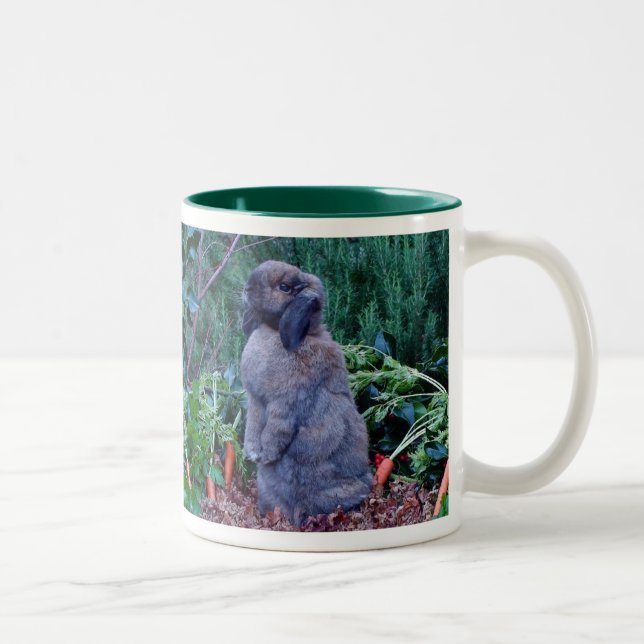 2 Couleurs Tasse de lapin - customisée (Droit)