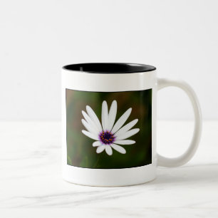 2 Couleurs Tasse de marguerite blanche