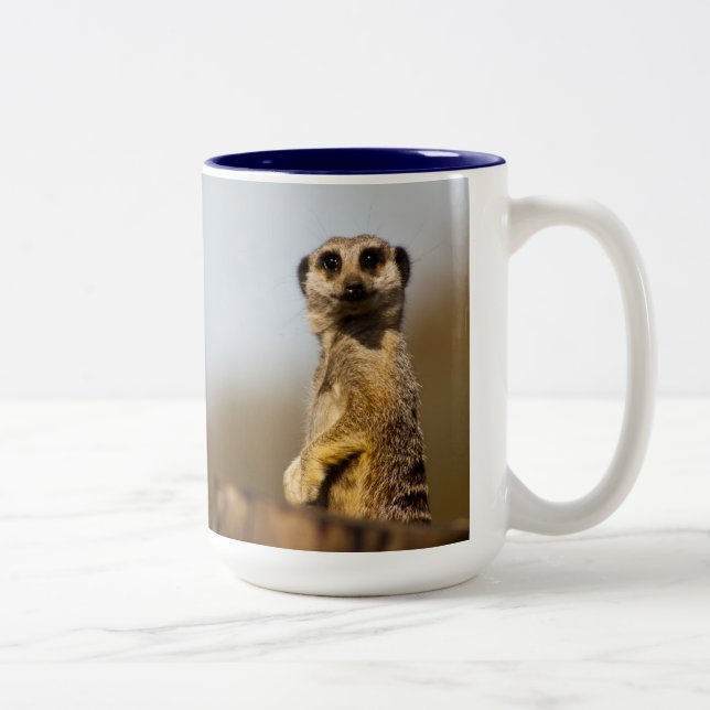 2 Couleurs Tasse de Meerkat (Droit)