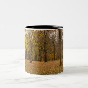 2 Couleurs Tasse de New York de Central Park de tasse de New
