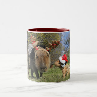 2 Couleurs Tasse de Noël de Caplin Rous