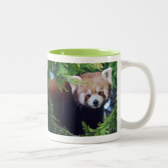 2 Couleurs Tasse de panda rouge (Droit)
