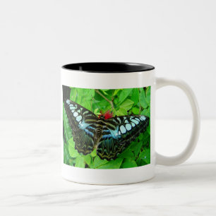 2 Couleurs Tasse de papillon
