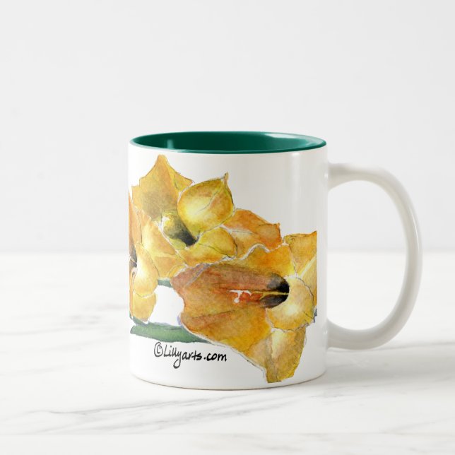 2 Couleurs Tasse de peinture d'aquarelle de Gladiola (Droit)
