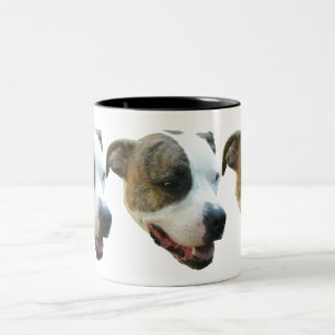 2 Couleurs Tasse de pitbull