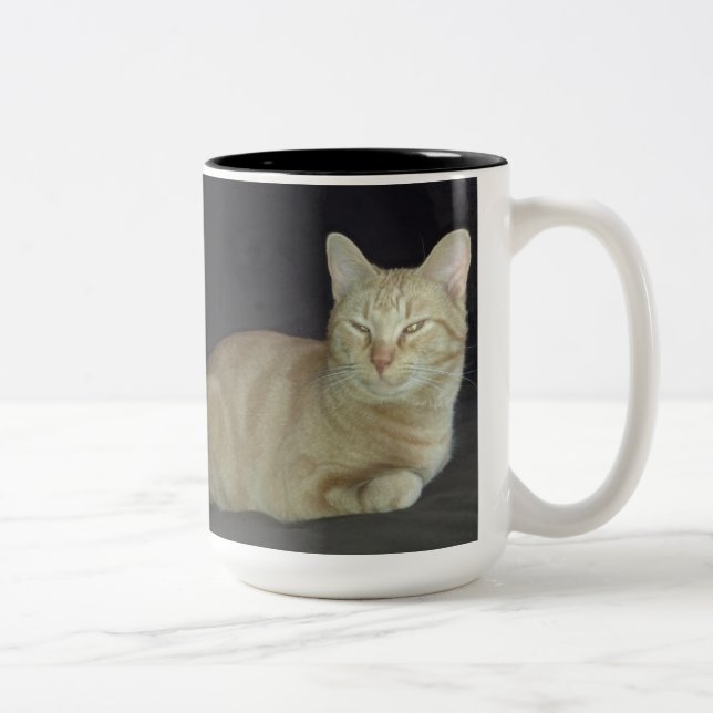 2 Couleurs Tasse de portrait de chat d'oscar (Droit)