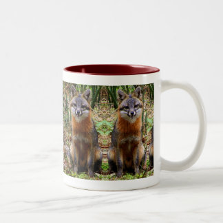 2 COULEURS TASSE DE RENARD