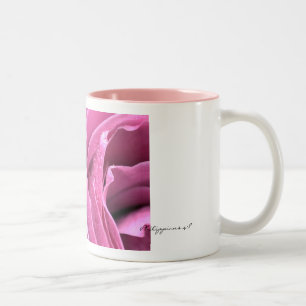 2 Couleurs Tasse de rose de rose de 4:8 de Philippiens