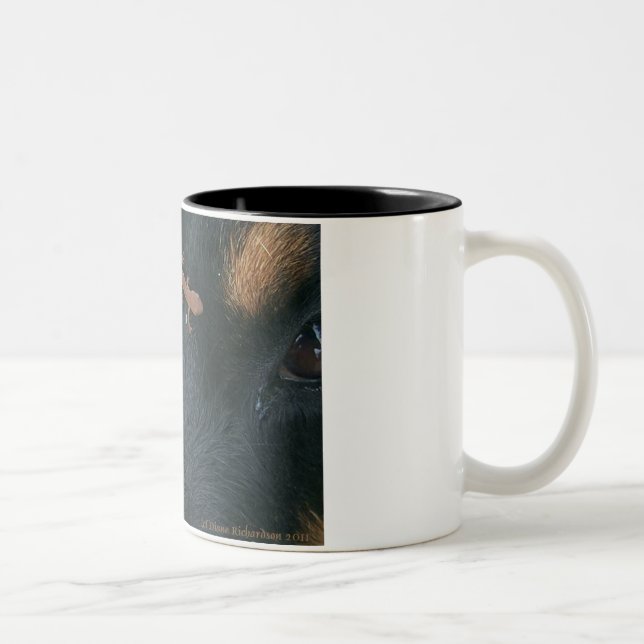 2 Couleurs Tasse de rottweiler et de salamandre (Droit)